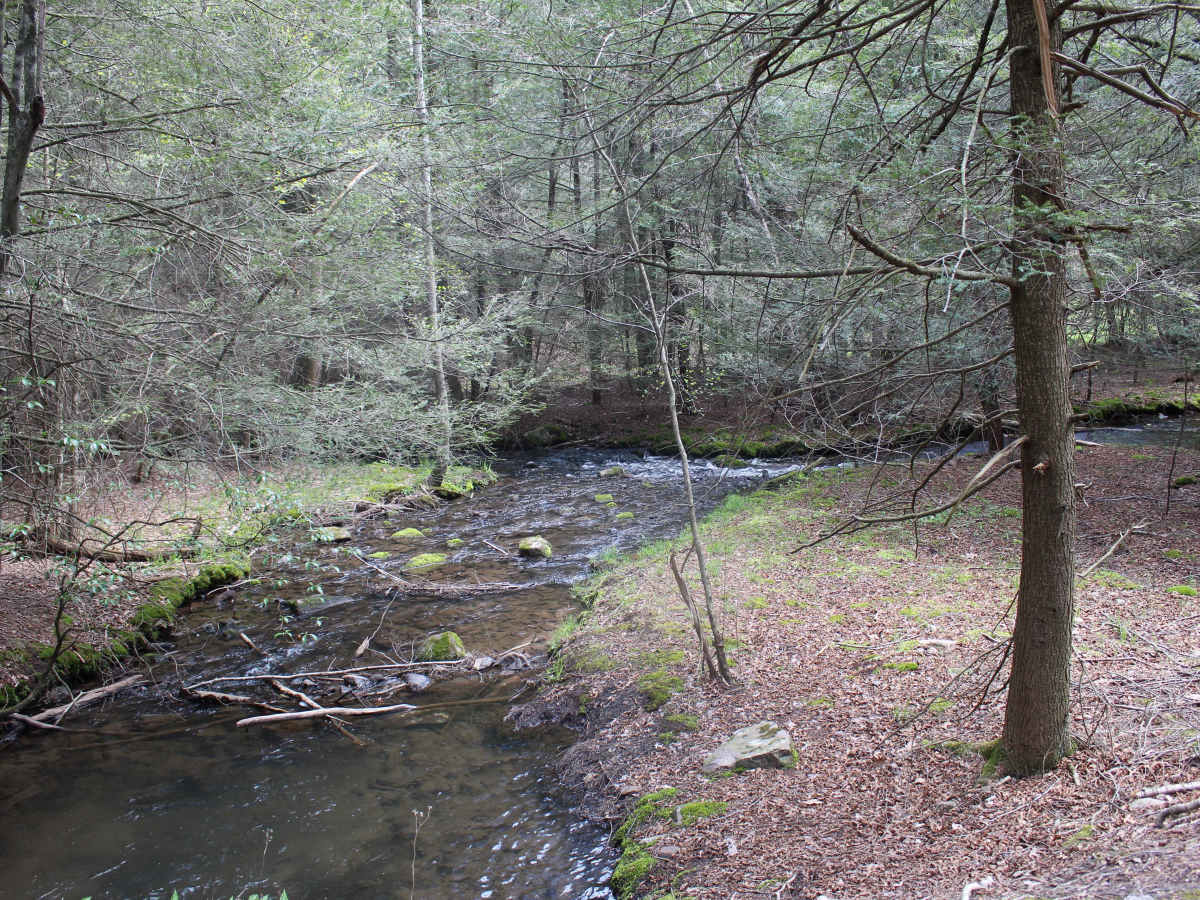 Stillhouse Hollow Trail photo 4