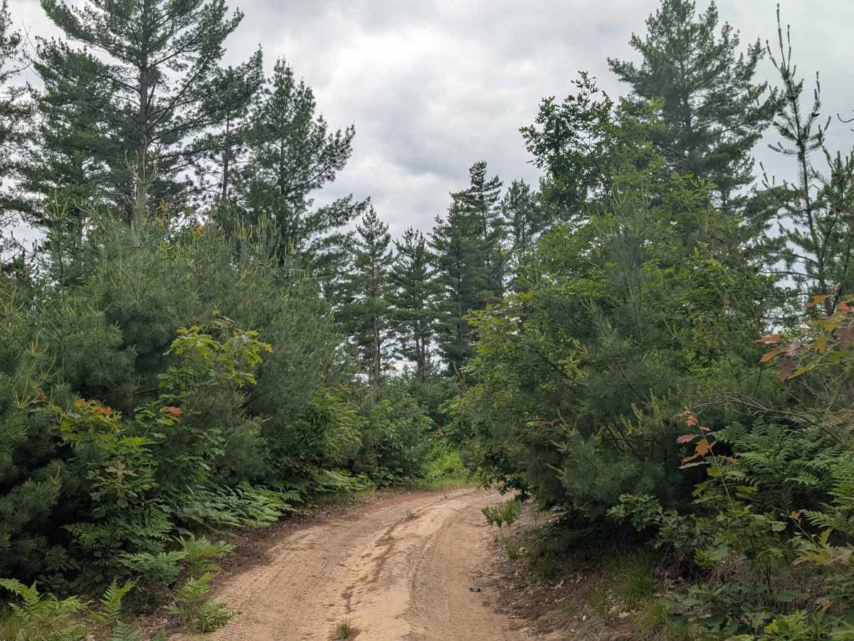 Lindquist Hill Military Trail photo 3