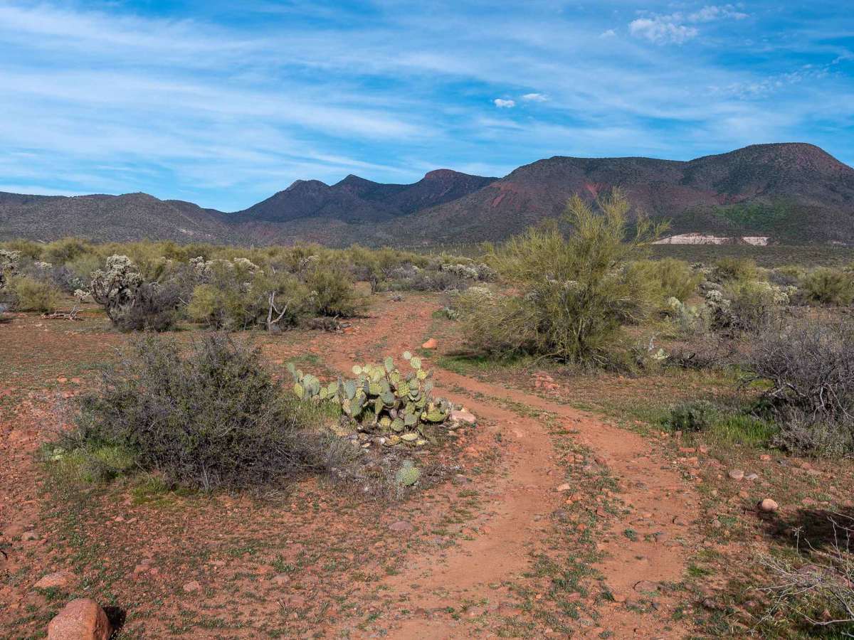 FS 267 trail photo