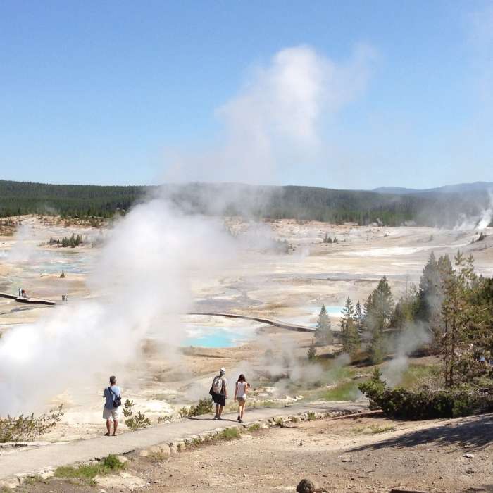 Near Norris Campground-Norris Geyser Basin Trail