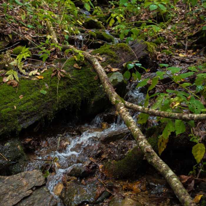 Near Trombatore Trail Near Trombatore Trail