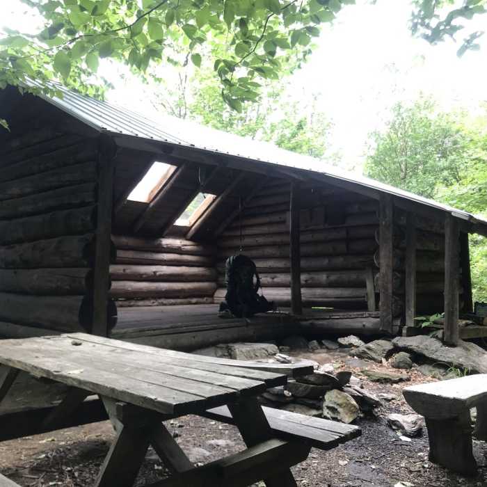 Near The Long Trail (Division 11)