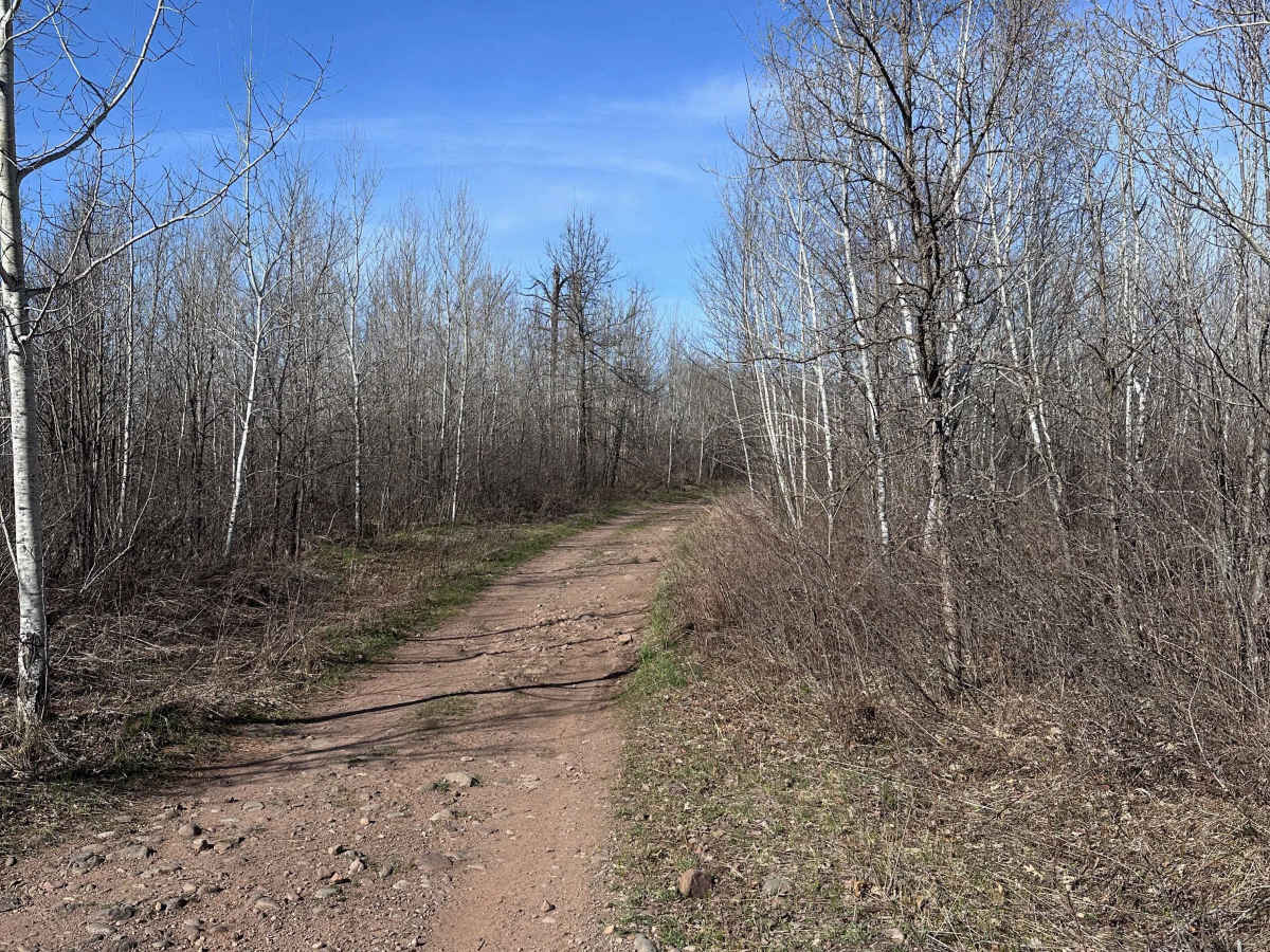 Trout Brook Trail photo 2