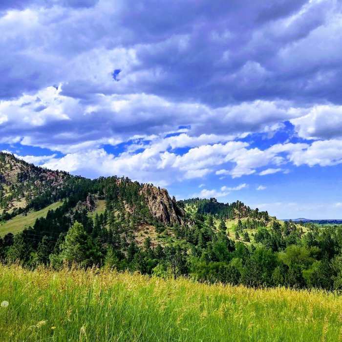 Near Red Rocks Trail