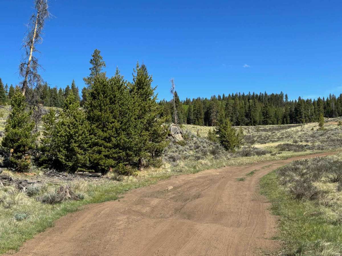 Cake Ridge Spur Road photo 5