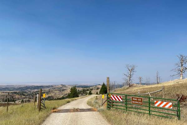 Iron Mountain Road