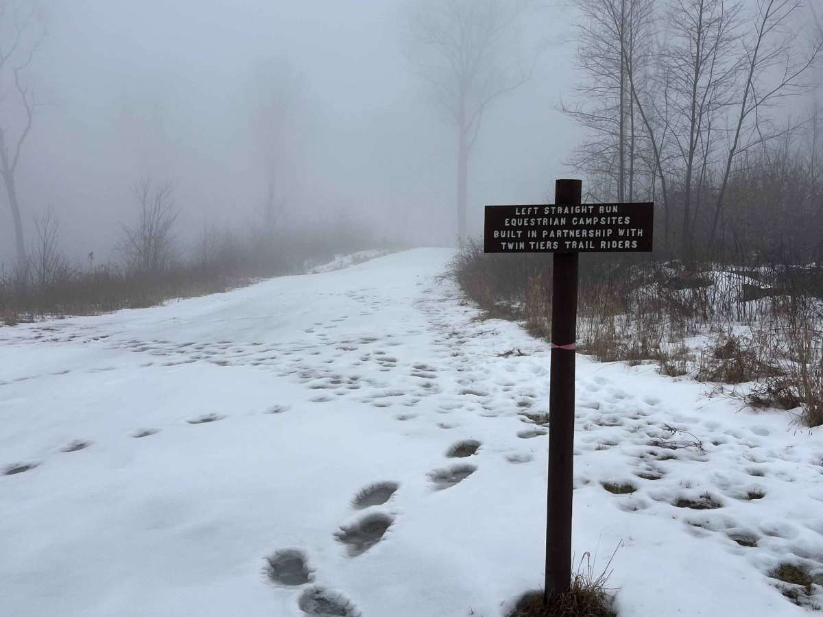 Left Straight Run Trail photo 2