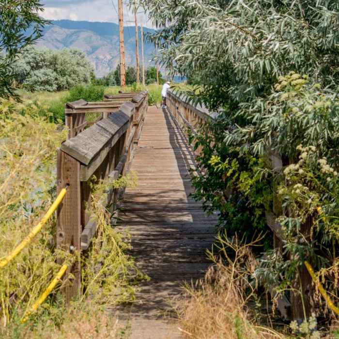 Near Benson Railroad Trail
