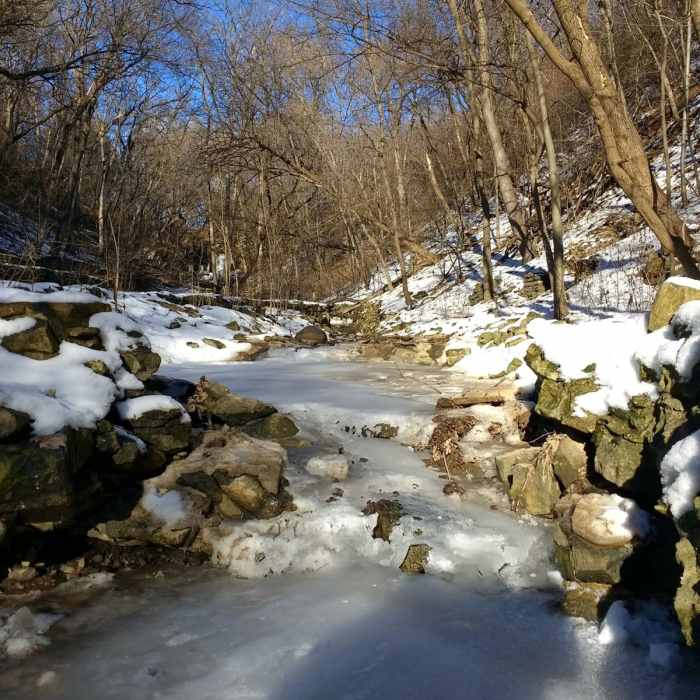 Near Hidden Falls Near Hidden Falls