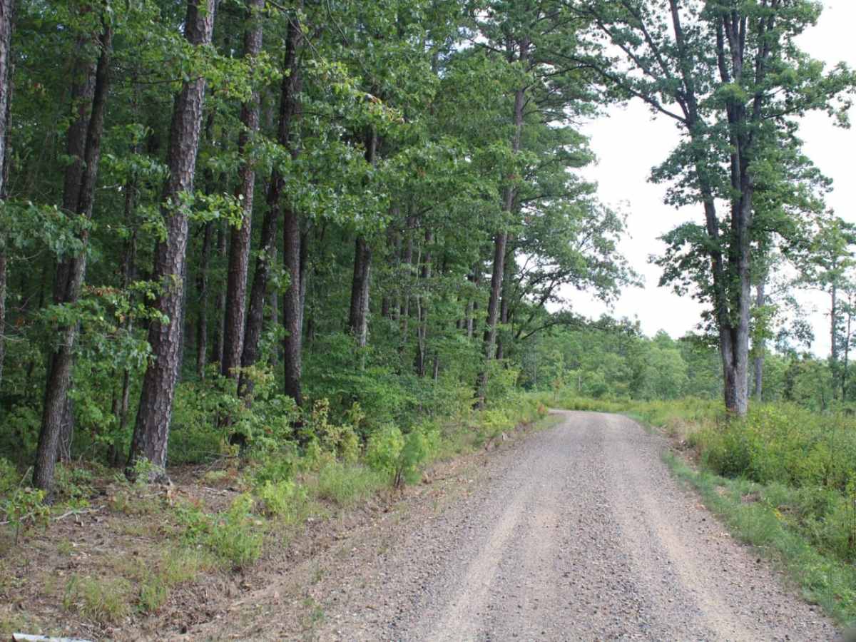 Polk 410 Stream & Camp photo 3
