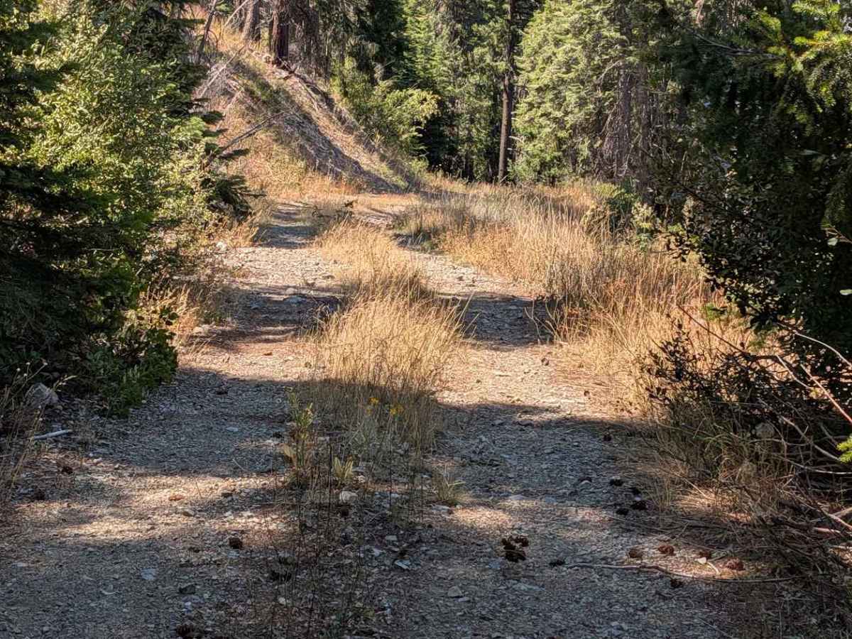Eagle Road - FS 4N32 photo 3