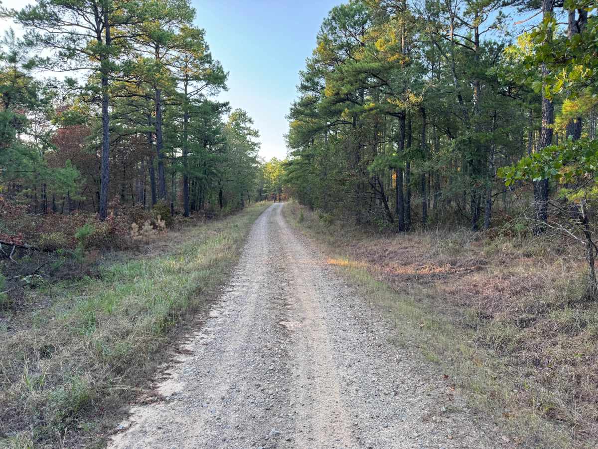 Zelon Young / Robert Hill Road photo 6