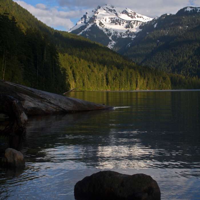 Johnson Peak glimmers on the surface of Packwood Lake in the late afternoon light. Near Packwood Lake Trail