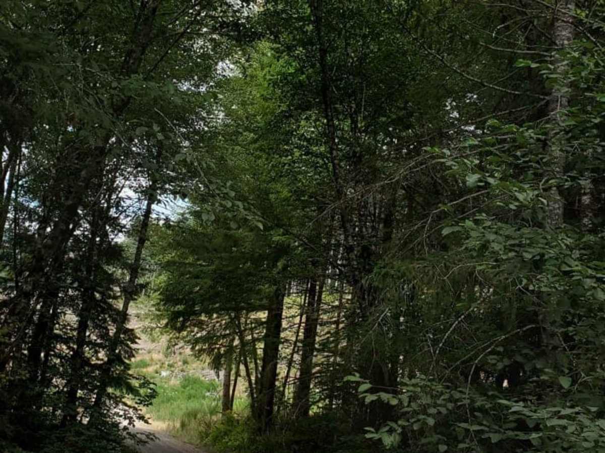 Weasel Spring Lane trail photo