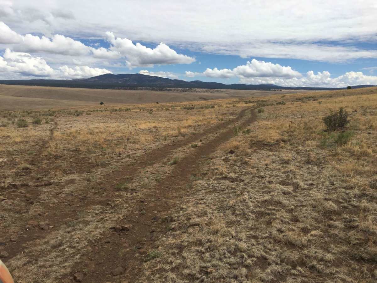 Gila Headwaters Overlook trail photo