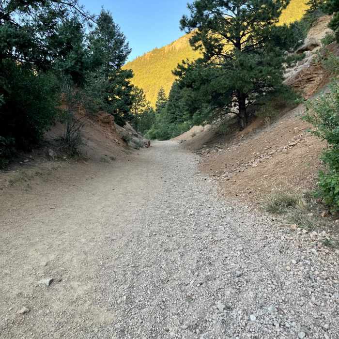 Near Mount Buckhorn Loop