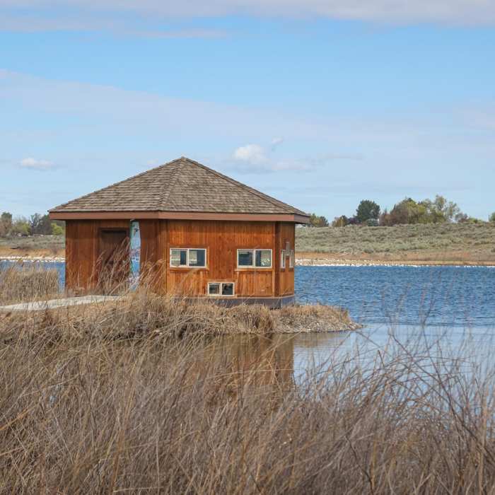 Near Burbank Slough Wildlife Trail