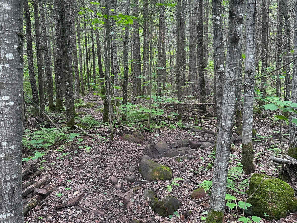 Alger Grade - Trail 3 photo 2