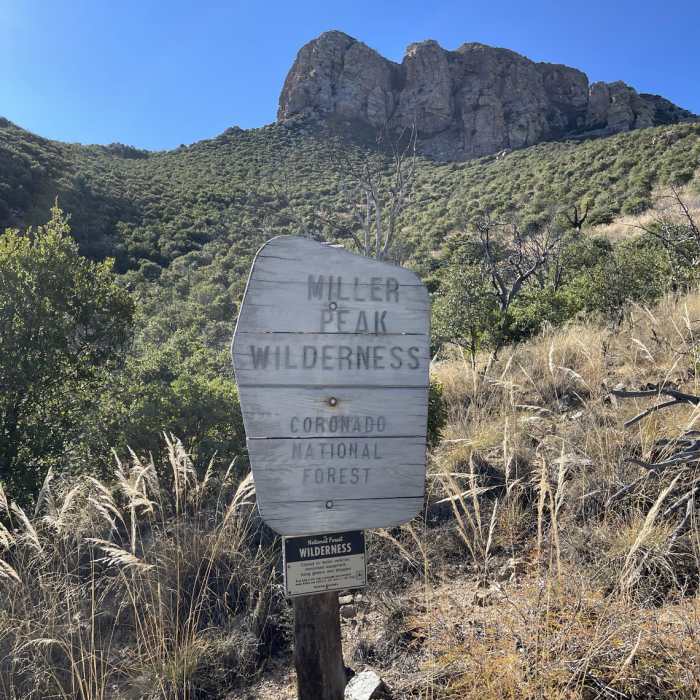 Near Clark Spring Trail #124 Out-and-Back