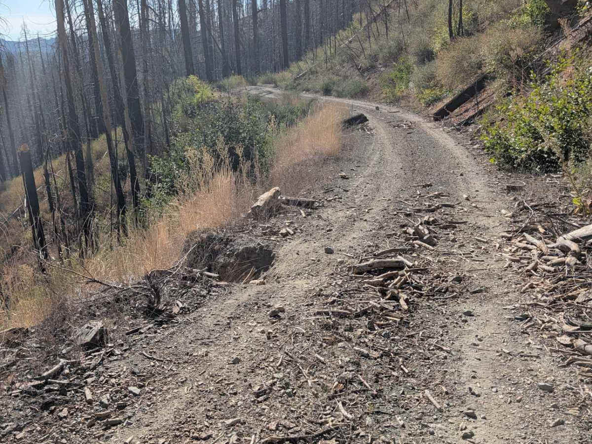 Baker Flat Road - FS 29N41 photo 4