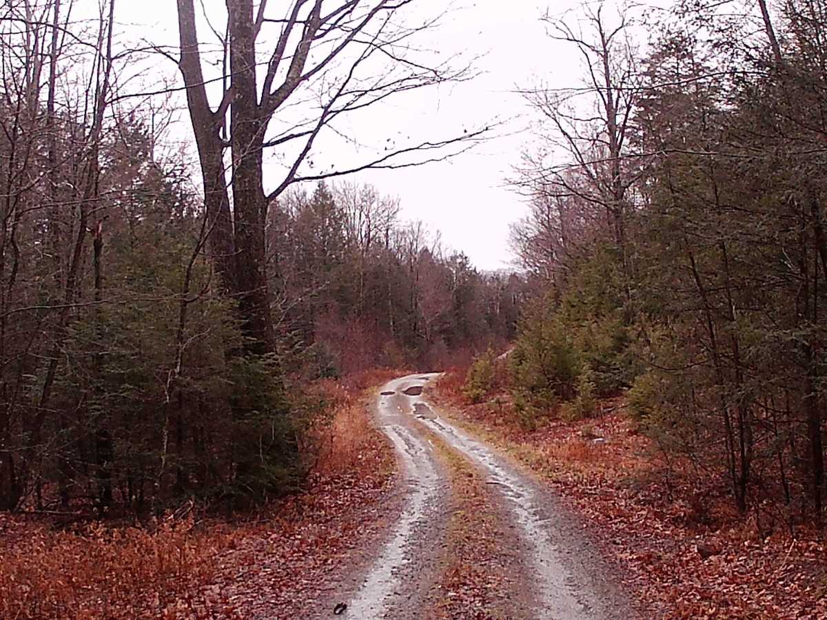 West Huckle Run Road photo 3
