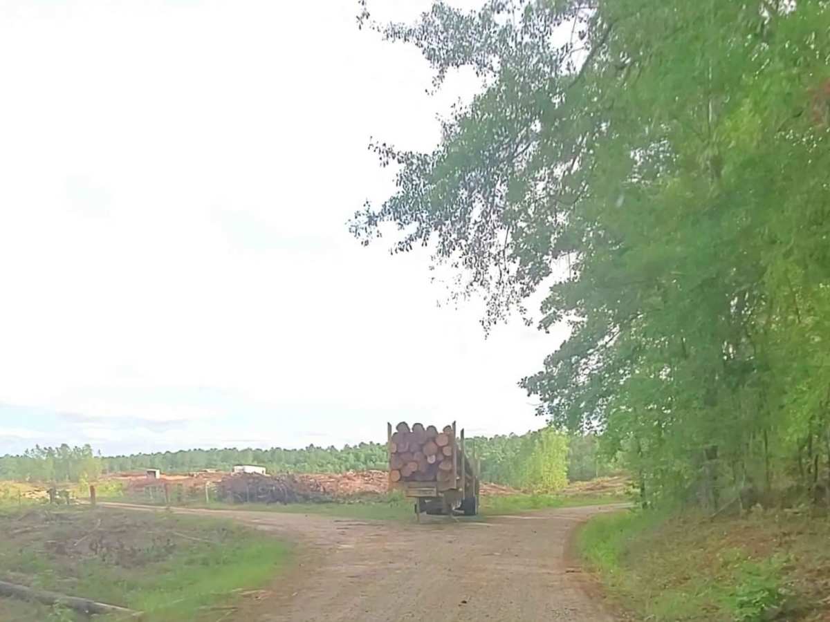 Lick Fork Road photo 2