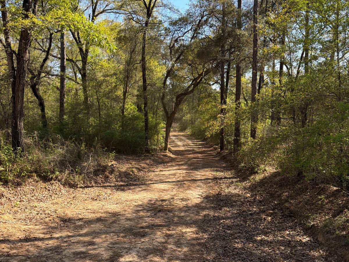 R 155 photo 6