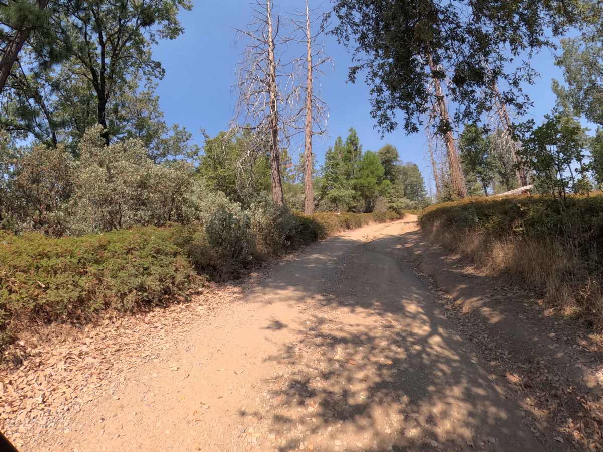 Ponderosa Fire Line - Upper - FS 6S017 photo 5