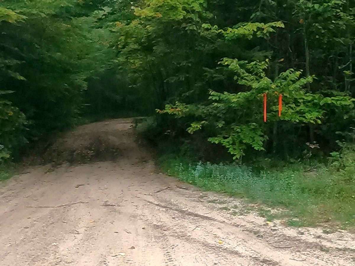 Cut River/Brevoort River Trail (ORV Route A) photo 2