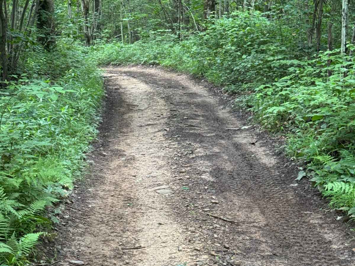 Trail 17 photo 2