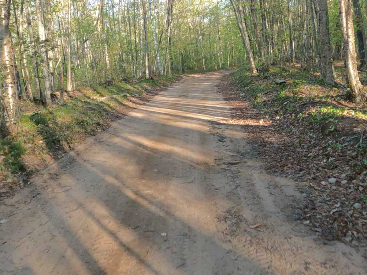West Bear Lake Road photo 2