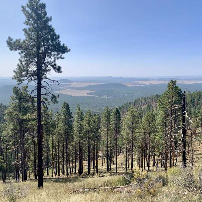 Near Kendrick Mountain Trail