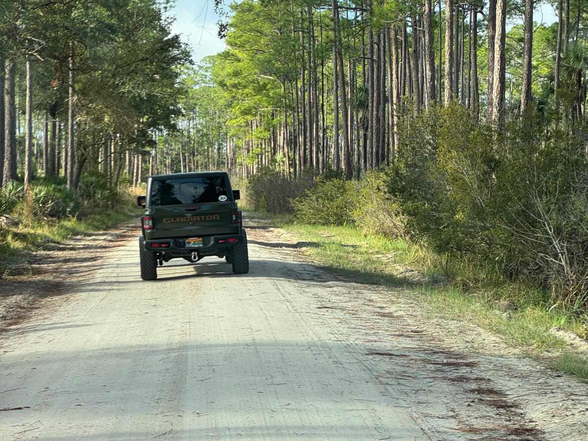 Fish Hole Road photo 4