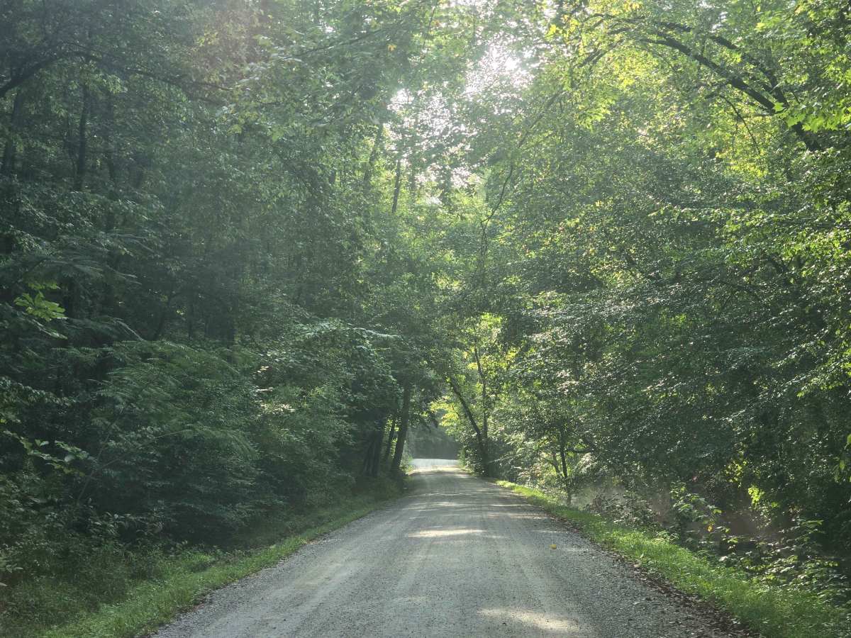 Lower Creek Road trail photo