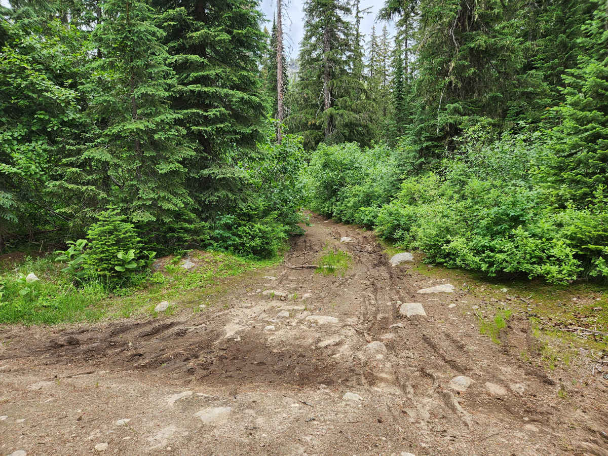 Bugle Creek trail photo