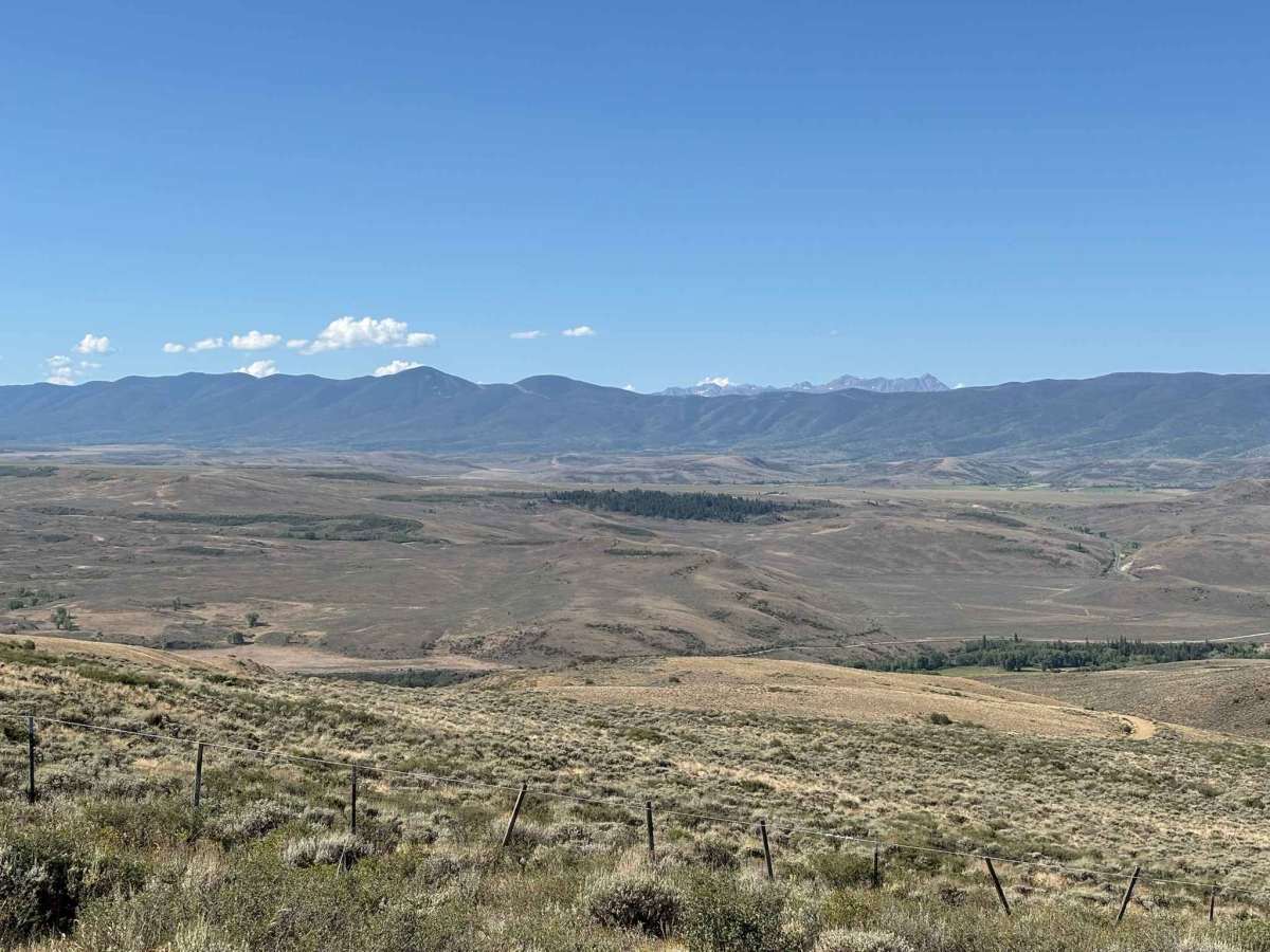 BLM 2759 Cutoff photo 5