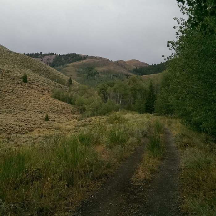 Near Hemingway Trail