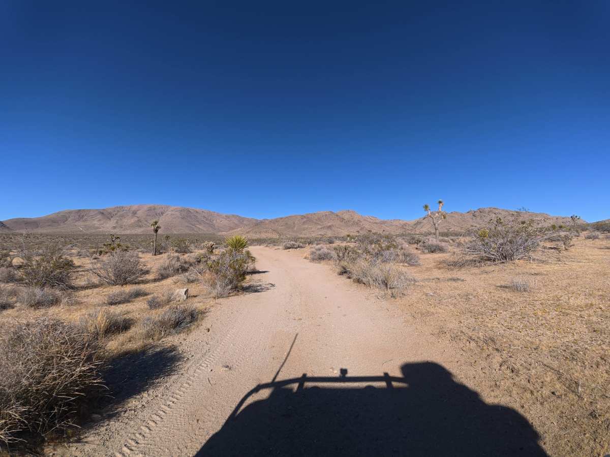 BLM SV2635 photo 3