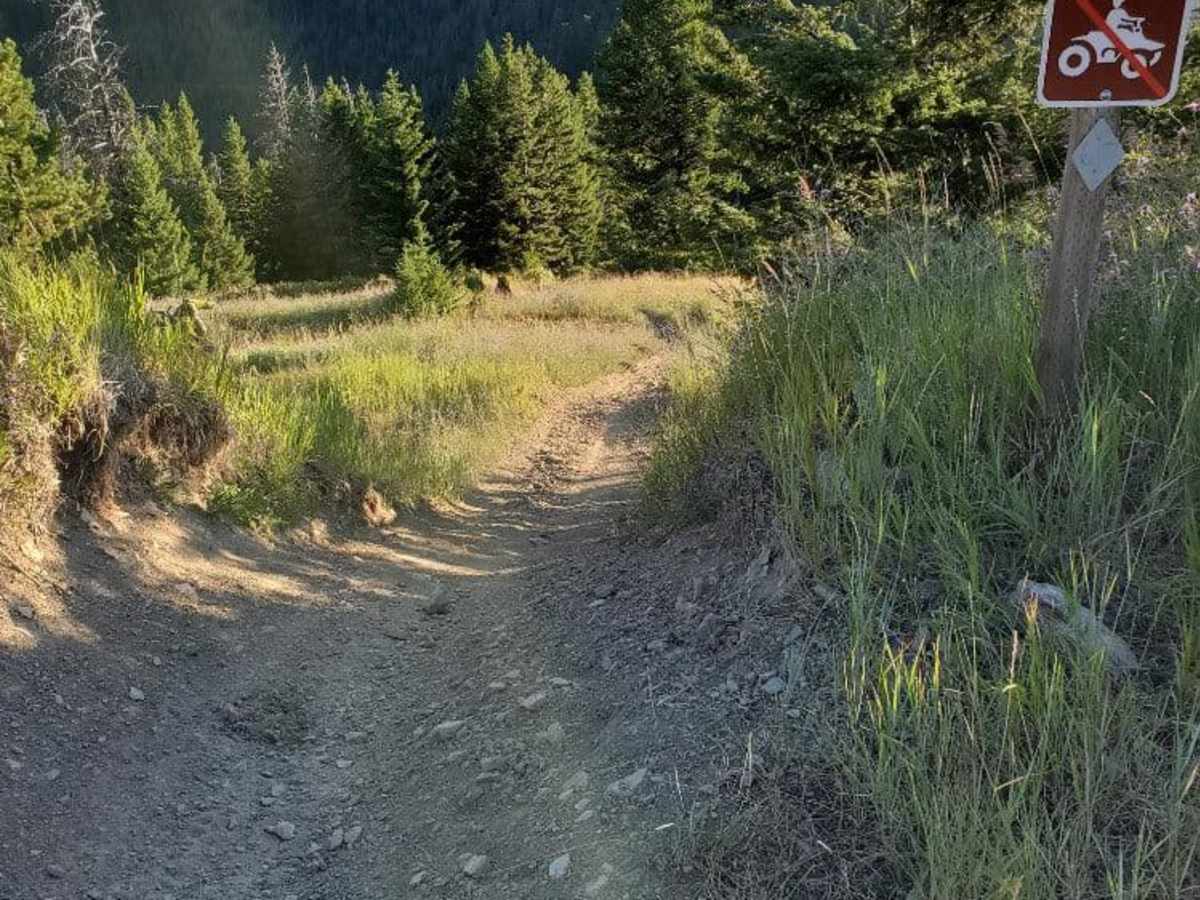 Grave Range Jeep Road - Blue Mountain photo 2