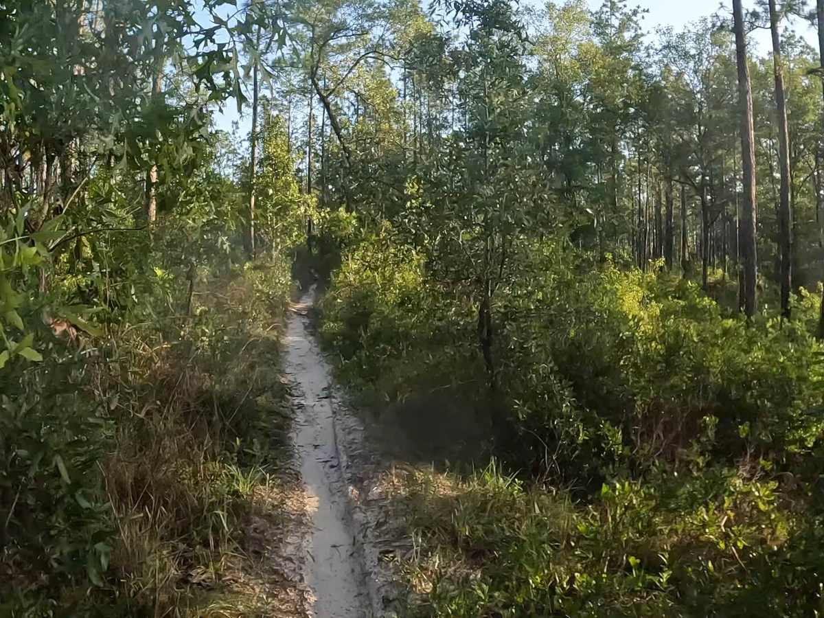 Southeast - FS 15 photo 2