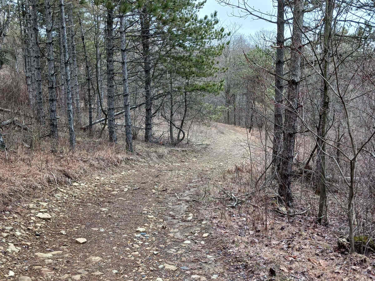 Trail 4N - Rock Run Recreation Area photo 4