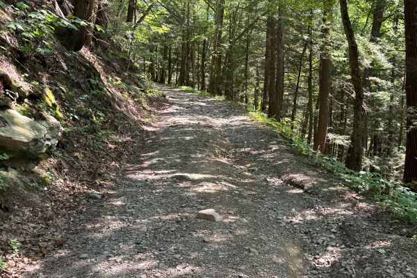 Dave Brown Mountain Road