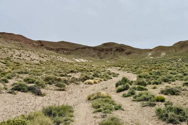 Hannapah Cutoff Road - FS 44505A