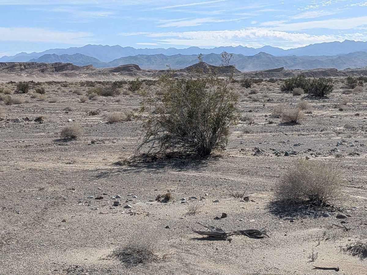 Dirt Road - BLM 232 photo 6