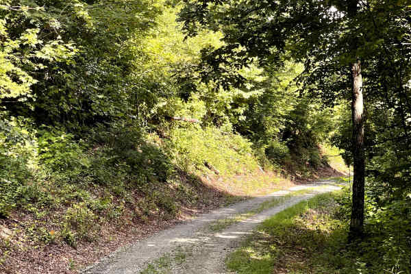 Cotrel Knob Trail