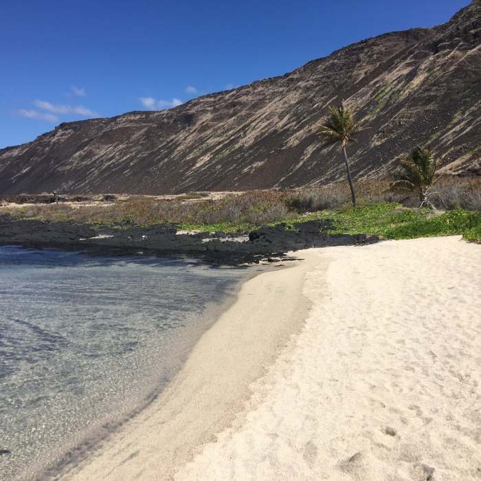 Near Halape Trail