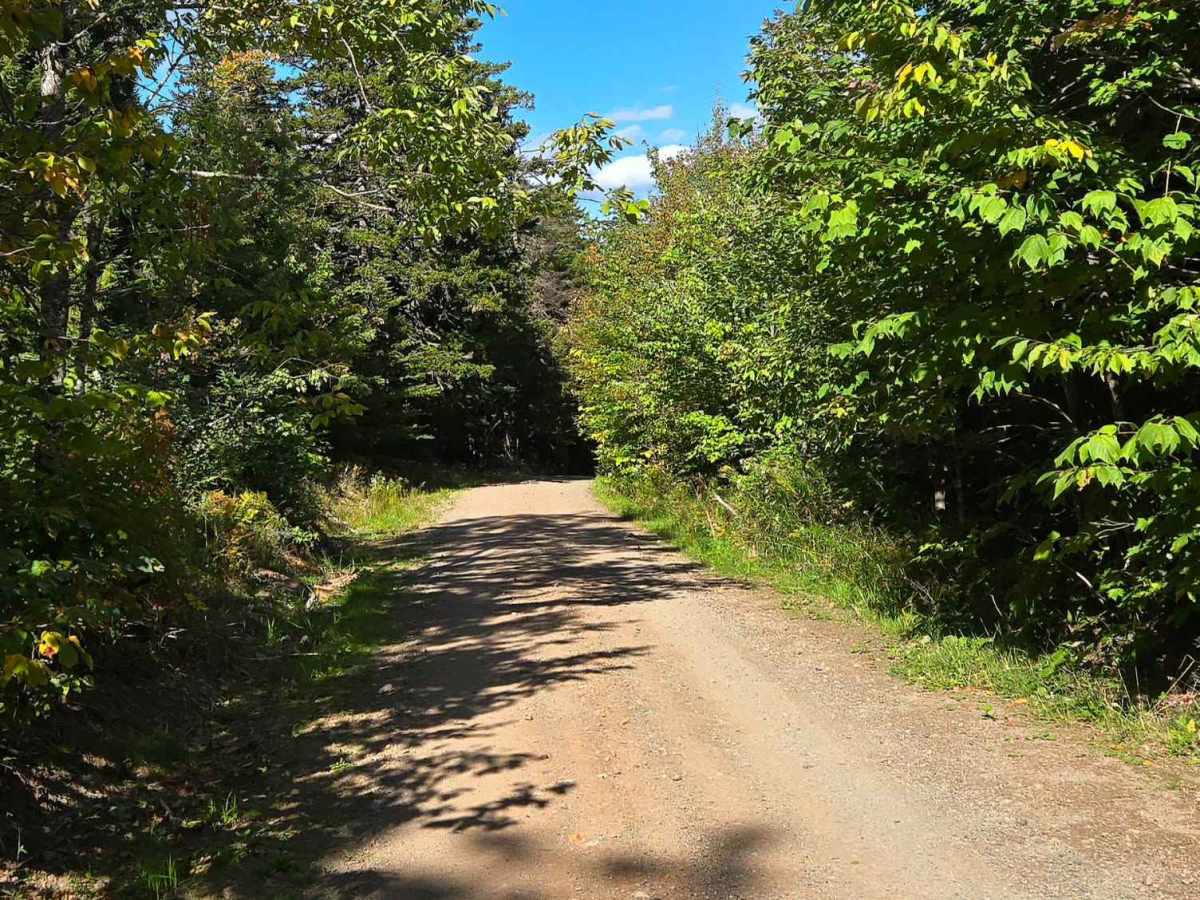 Old Albert Mines Road photo 4