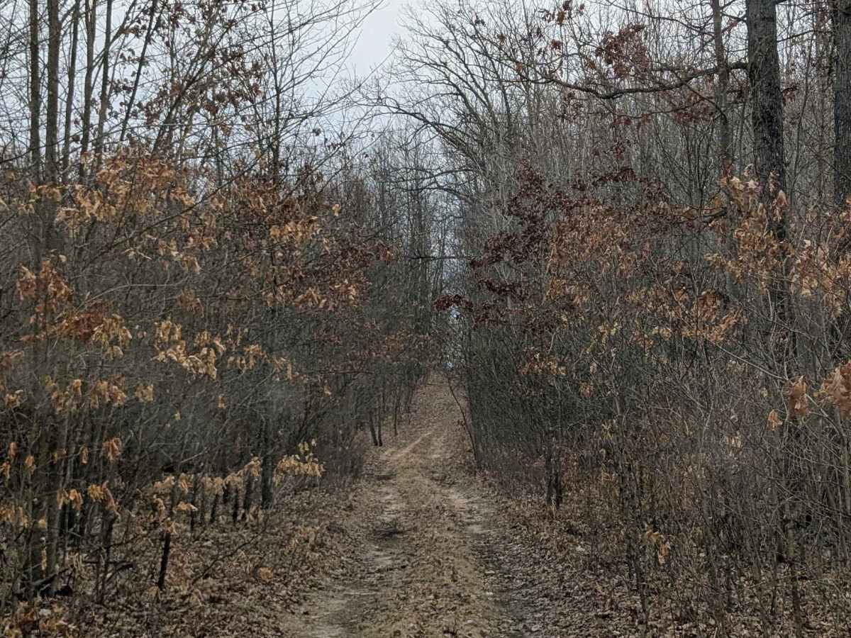 Hilly Trail photo 5