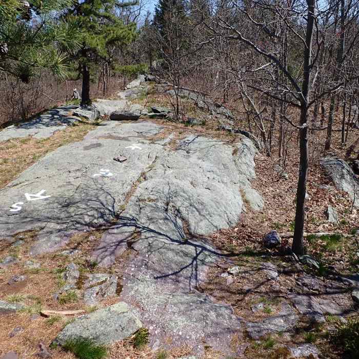 Near West Ridge Loop