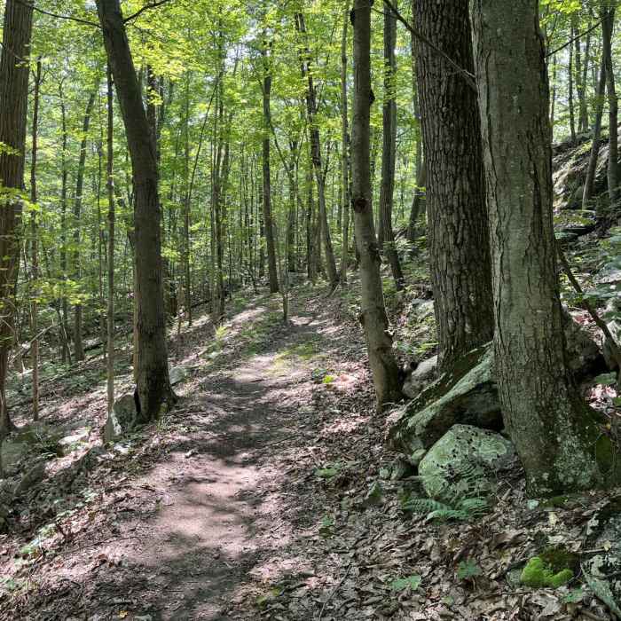 Near Iron Mine Trail Near Iron Mine Trail
